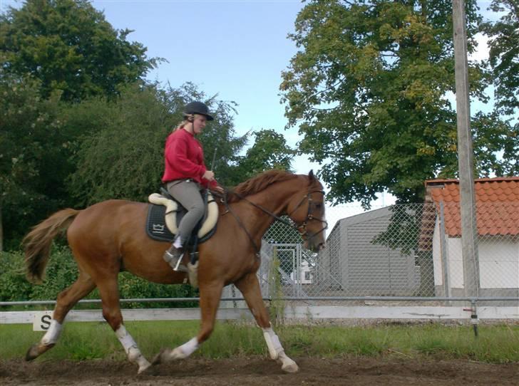 Rens Ungdomsskole 1 billede 8