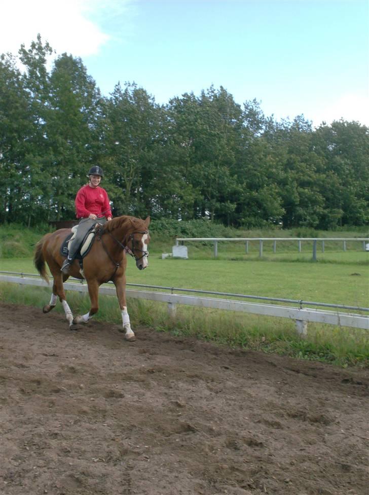 Rens Ungdomsskole 1 billede 9