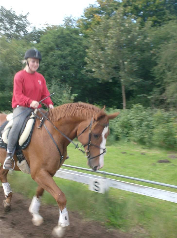 Rens Ungdomsskole 1 billede 10