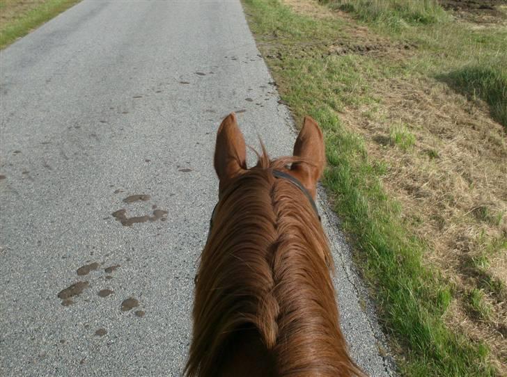 Rens Ungdomsskole 1 billede 12