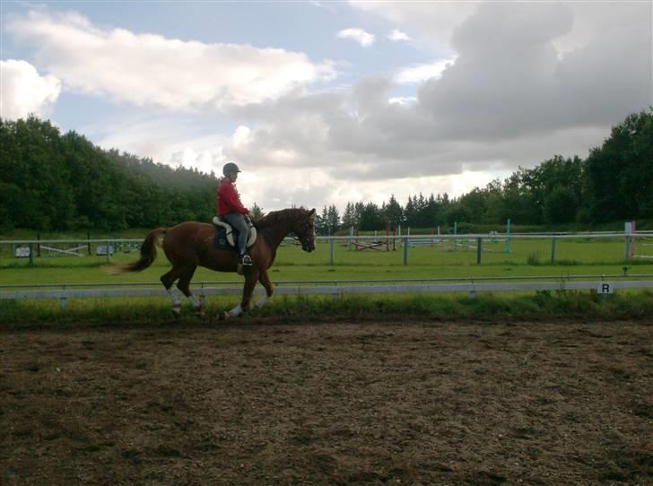 Rens Ungdomsskole 1 billede 13