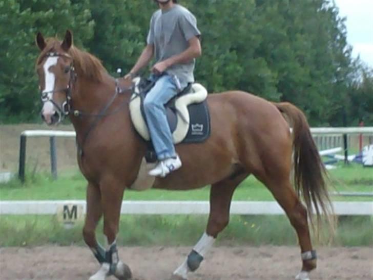 Rens Ungdomsskole 1 billede 14