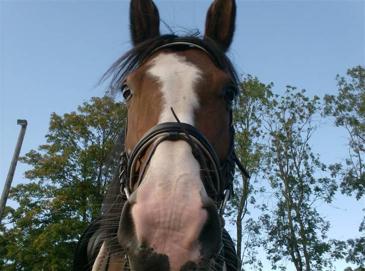 Rens Ungdomsskole 1 billede 15