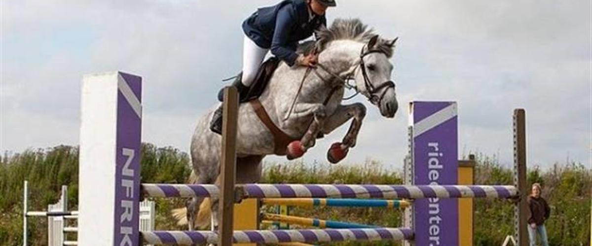 Miss Pringles Diverse hest Uploadet af Emma Karlsson.