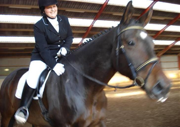 Dressur stævne  Strøgården 18.10.09 billede 1