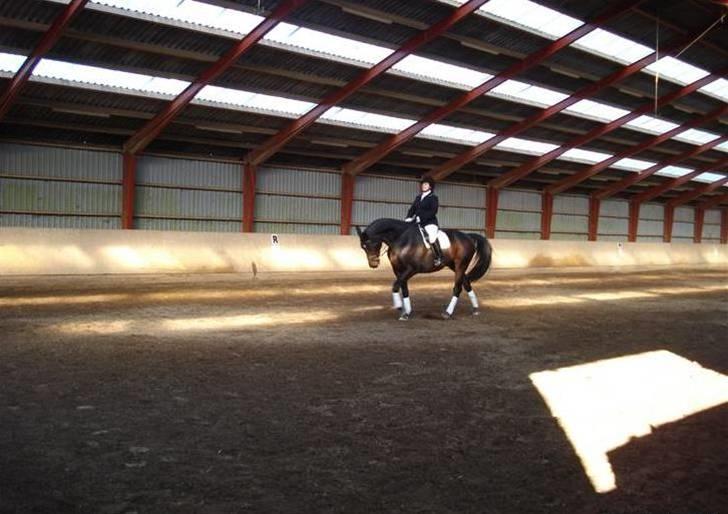 Dressur stævne  Strøgården 18.10.09 billede 2