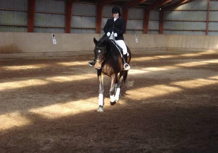 Dressur stævne  Strøgården 18.10.09 billede 3