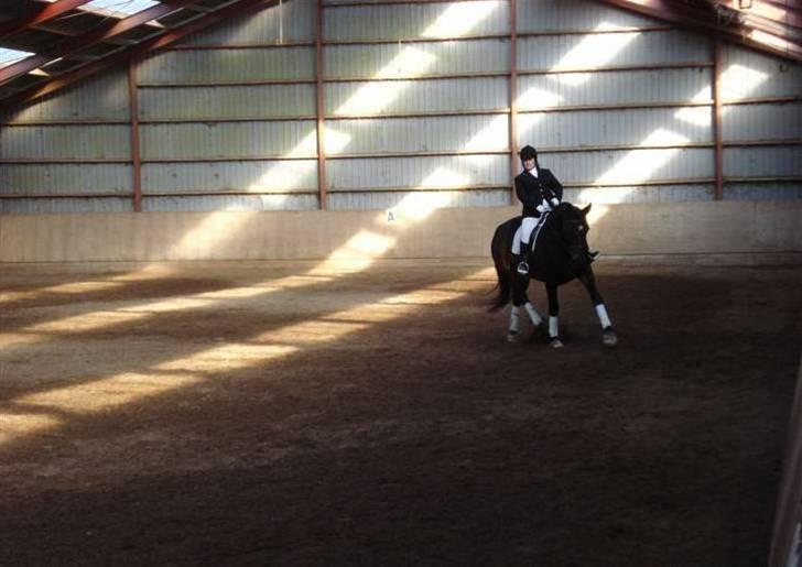 Dressur stævne  Strøgården 18.10.09 billede 4