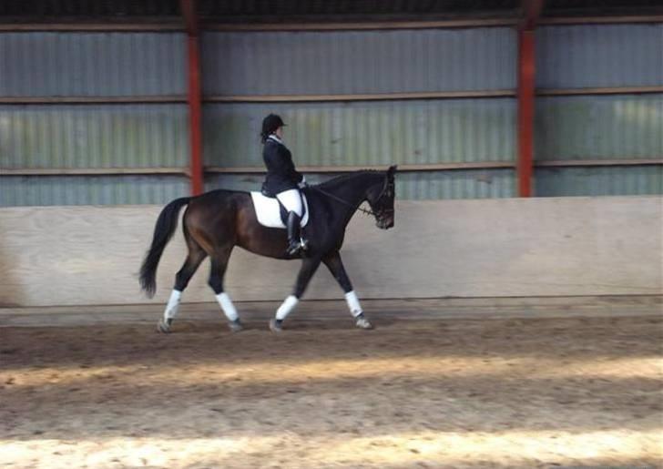 Dressur stævne  Strøgården 18.10.09 billede 5