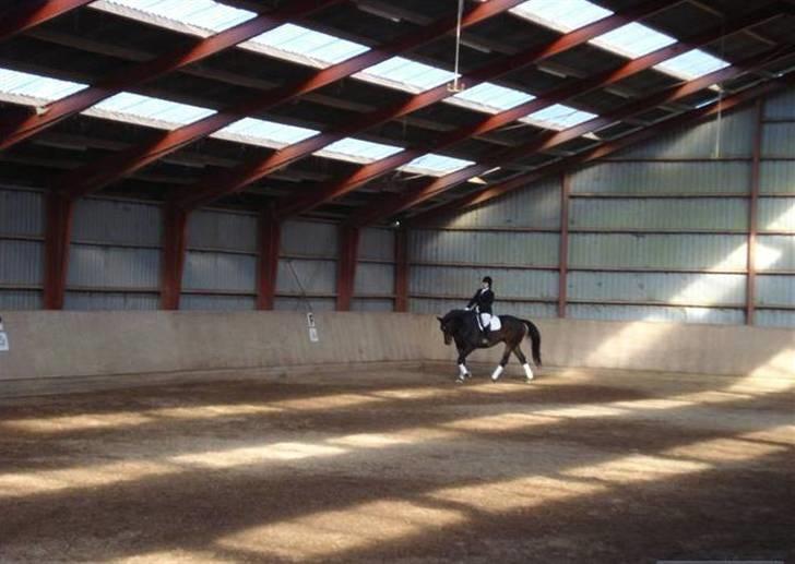 Dressur stævne  Strøgården 18.10.09 billede 6