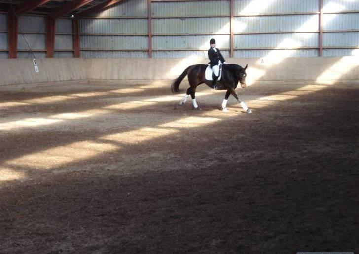 Dressur stævne  Strøgården 18.10.09 billede 11