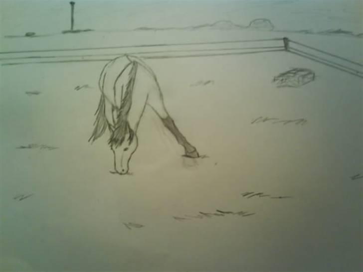 © Mine tegninger :) - Her har jeg tegnet en pony ejet af Emse. Ponyen hedder Mabelle, og pigens bruger hedder "emmely: elsker dig mabelle duh'alt : ) " herinde på HesteGalleri.
Link: http://www.hestegalleri.dk/html/gal_visbil.asp?ID=94581 billede 18