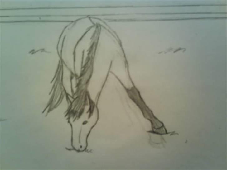 © Mine tegninger :) - Her har jeg tegnet en pony ejet af Emse. Ponyen hedder Mabelle, og pigens bruger hedder "emmely: elsker dig mabelle duh'alt : ) " herinde på HesteGalleri.
Link: http://www.hestegalleri.dk/html/gal_visbil.asp?ID=94581 billede 19