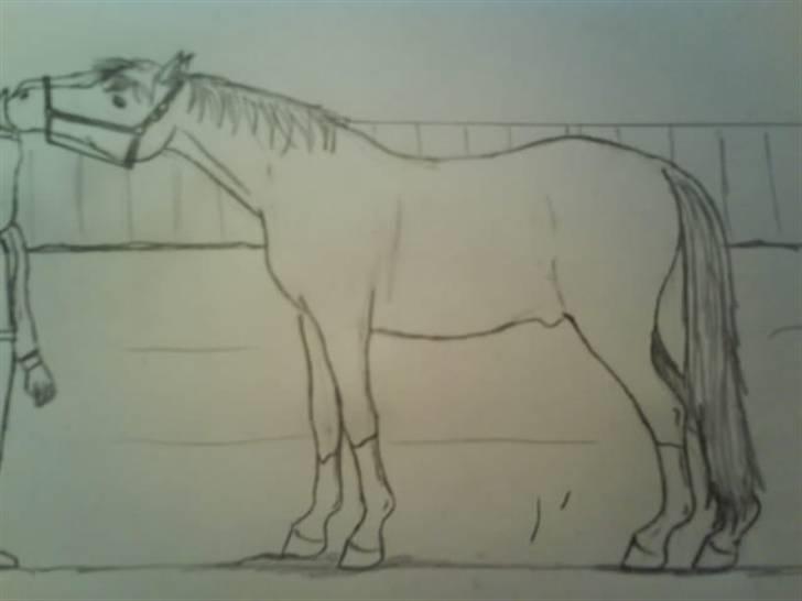 © Mine tegninger :) - Fijis pony, Fireball. Hendes bruger herinde hedder "Fiji Og Fireball. Elske Dig Pony <'3"
Link: http://www.hestegalleri.dk/html/gal_visbil.asp?ID=75437 billede 20