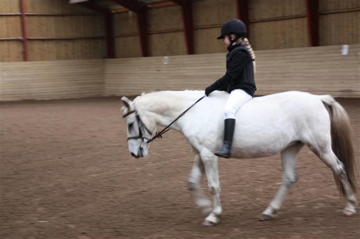 Stævne på Enggården 09 Dressur (rideskolen) billede 2