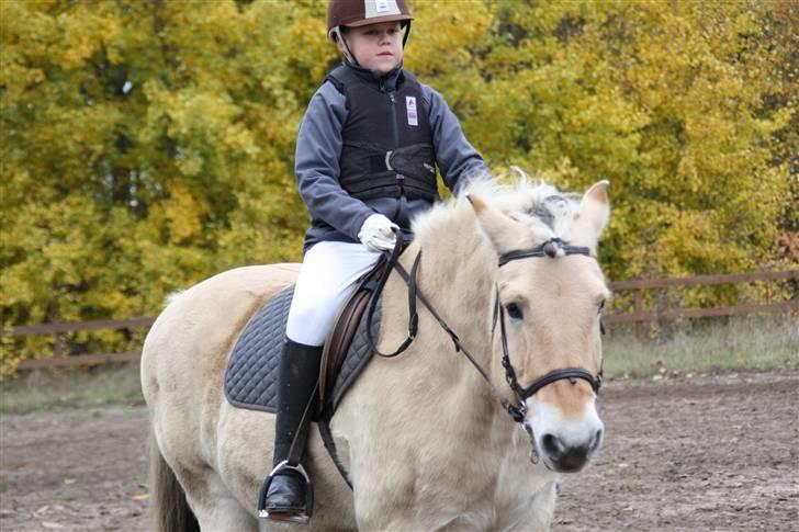 Stævne på Enggården 09 Dressur (rideskolen) billede 1