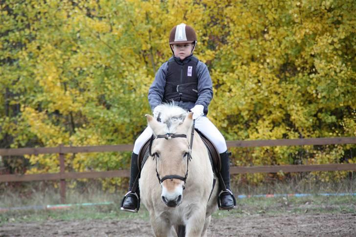 Stævne på Enggården 09 Dressur (rideskolen) billede 3