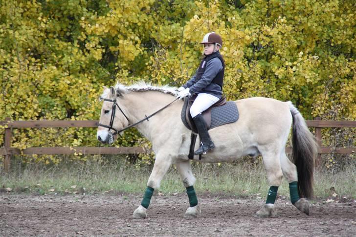 Stævne på Enggården 09 Dressur (rideskolen) billede 4