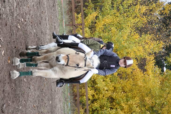 Stævne på Enggården 09 Dressur (rideskolen) billede 5