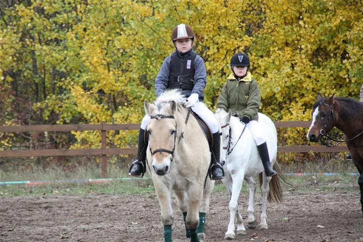 Stævne på Enggården 09 Dressur (rideskolen) billede 6