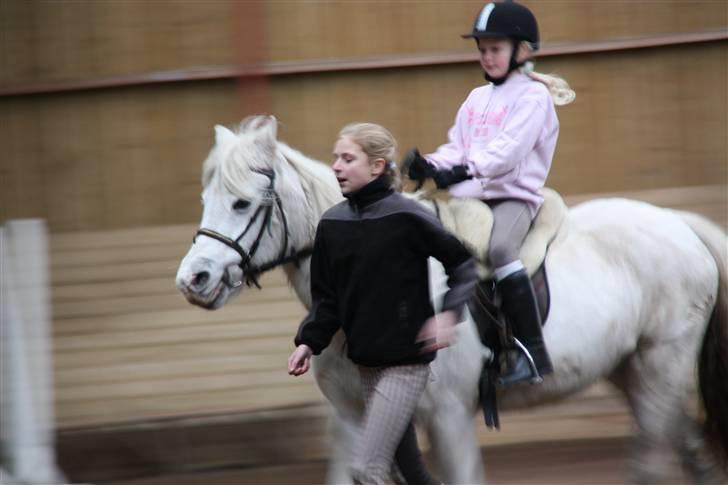 Stævne på Enggården 09 Dressur (rideskolen) billede 7