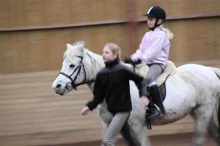 Stævne på Enggården 09 Dressur (rideskolen) billede 8