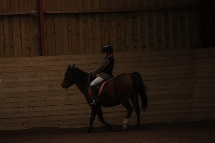 Stævne på Enggården 09 Dressur (rideskolen) billede 9