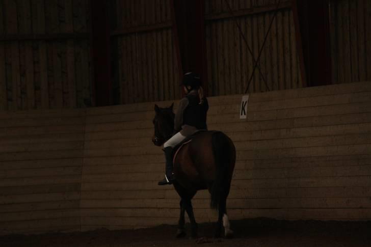 Stævne på Enggården 09 Dressur (rideskolen) billede 10