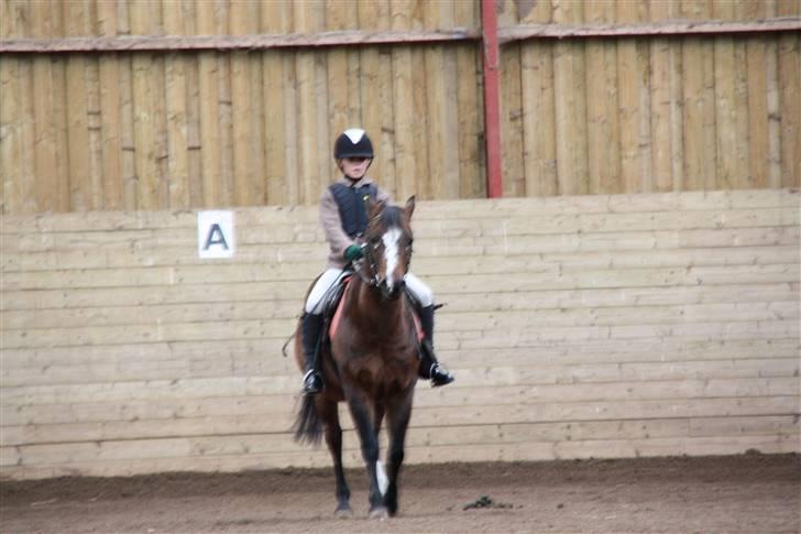 Stævne på Enggården 09 Dressur (rideskolen) billede 11