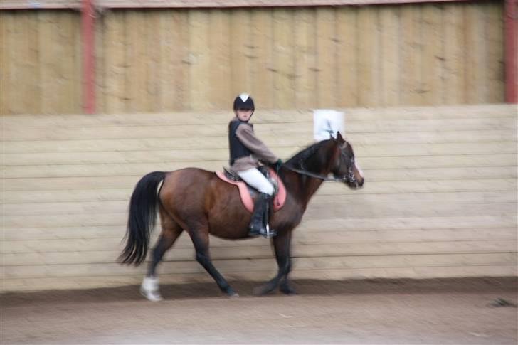 Stævne på Enggården 09 Dressur (rideskolen) billede 12