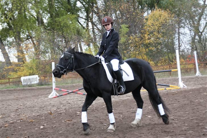 Stævne på Enggården 09 Dressur (rideskolen) billede 13