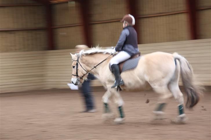 Stævne på Enggården 09 Dressur (rideskolen) billede 15