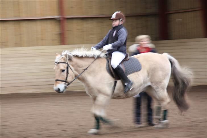 Stævne på Enggården 09 Dressur (rideskolen) billede 16