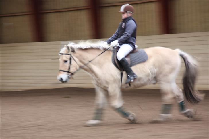 Stævne på Enggården 09 Dressur (rideskolen) billede 17