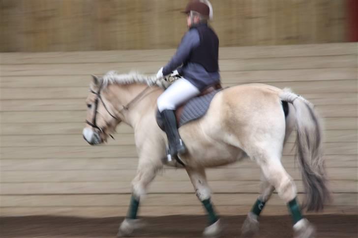 Stævne på Enggården 09 Dressur (rideskolen) billede 18
