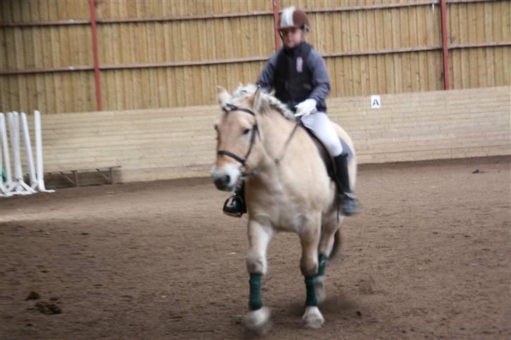 Stævne på Enggården 09 Dressur (rideskolen) billede 19