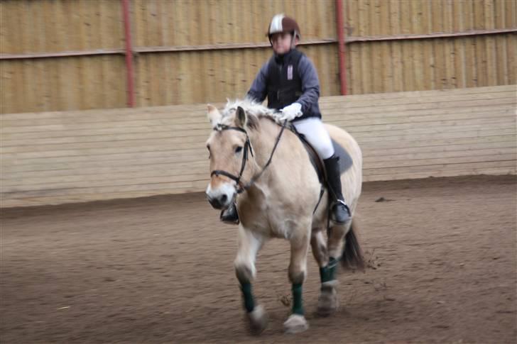 Stævne på Enggården 09 Dressur (rideskolen) billede 20