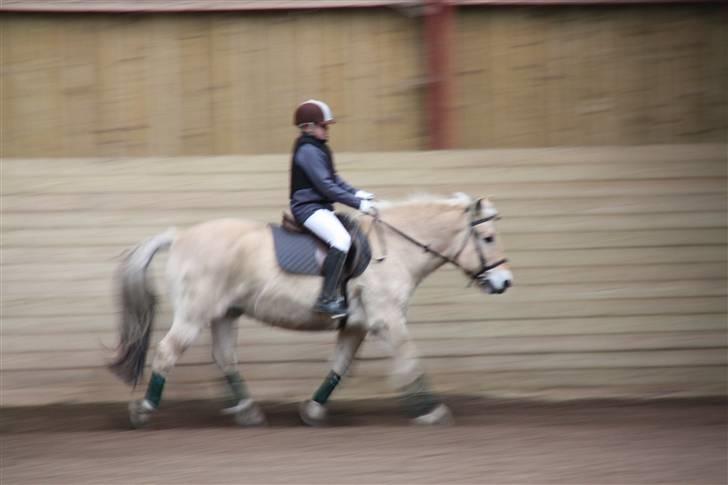 Stævne på Enggården 09 Dressur (rideskolen) billede 21