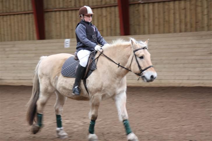 Stævne på Enggården 09 Dressur (rideskolen) billede 22