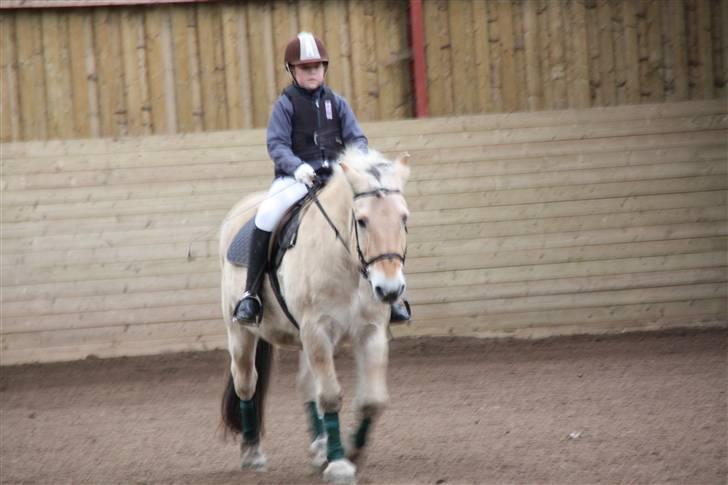 Stævne på Enggården 09 Dressur (rideskolen) billede 23