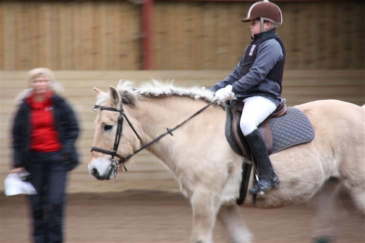 Stævne på Enggården 09 Dressur (rideskolen) billede 24