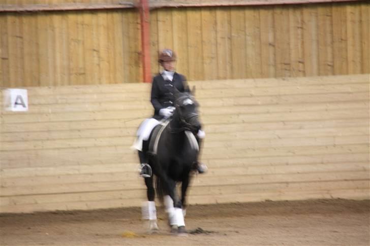Stævne på Enggården 09 Dressur (rideskolen) billede 25