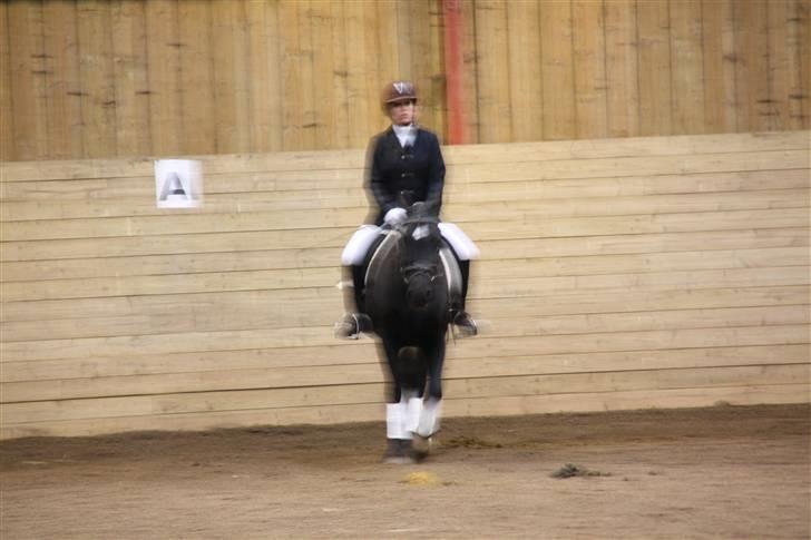 Stævne på Enggården 09 Dressur (rideskolen) billede 26