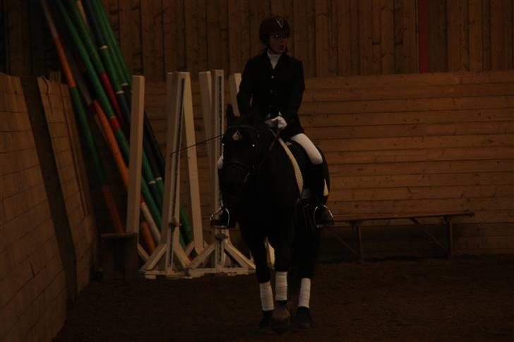 Stævne på Enggården 09 Dressur (rideskolen) billede 28