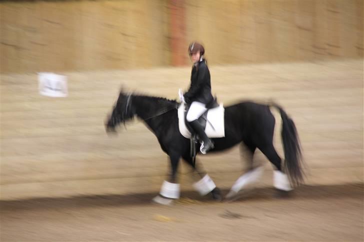 Stævne på Enggården 09 Dressur (rideskolen) billede 29