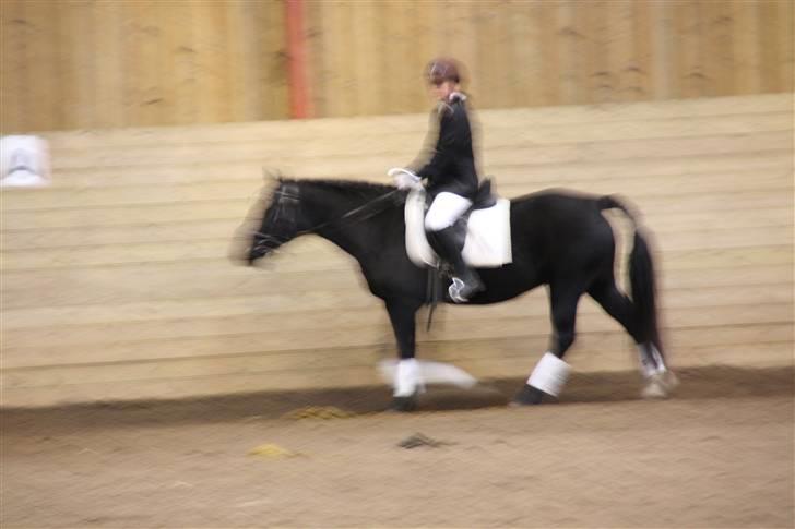 Stævne på Enggården 09 Dressur (rideskolen) billede 30