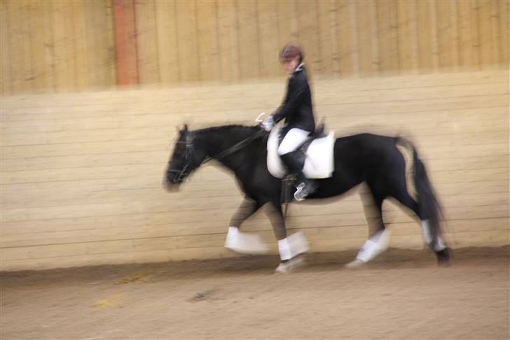 Stævne på Enggården 09 Dressur (rideskolen) billede 31