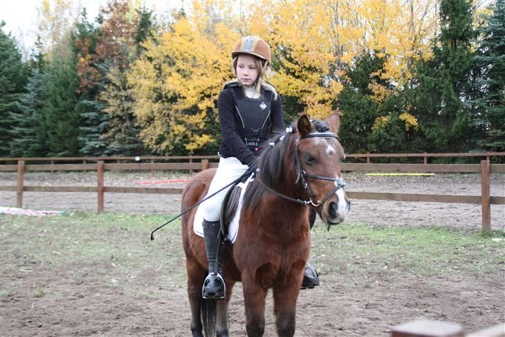 Stævne på Enggården 09 Dressur (rideskolen) billede 32