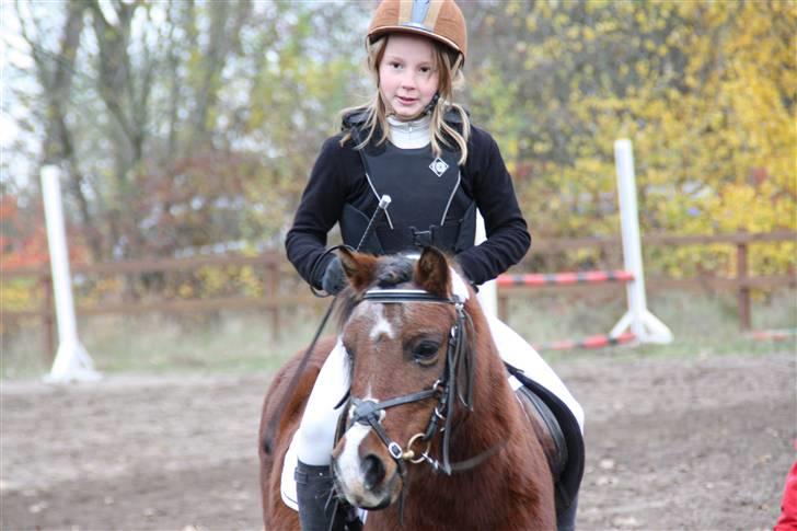 Stævne på Enggården 09 Dressur (rideskolen) billede 33