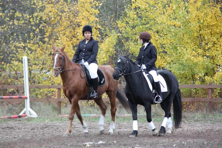 Stævne på Enggården 09 Dressur (rideskolen) billede 34